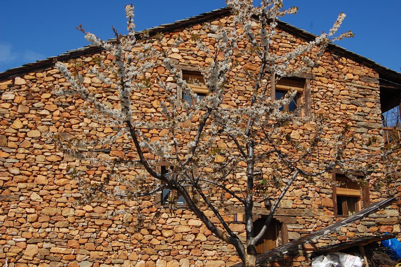 Apartamentos Turisticos La Alqueria De Valverde Valverde De Los Arroyos Eksteriør billede