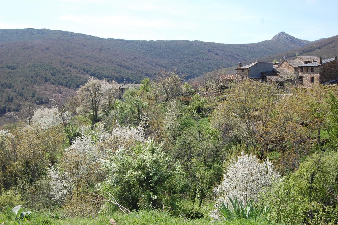 Apartamentos Turisticos La Alqueria De Valverde Valverde De Los Arroyos Eksteriør billede